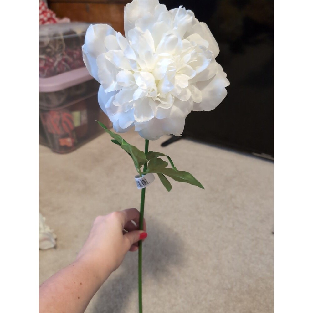 white Peony 20" Floral Decor Ashland